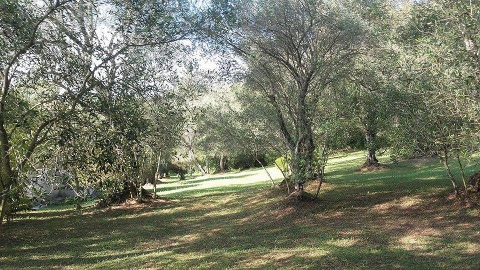 Karamali Green Danilia Villas Gouvia Luaran gambar